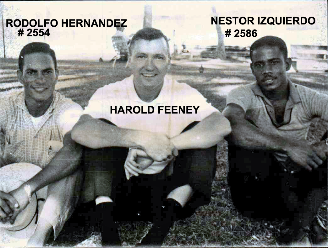 harold,seafury